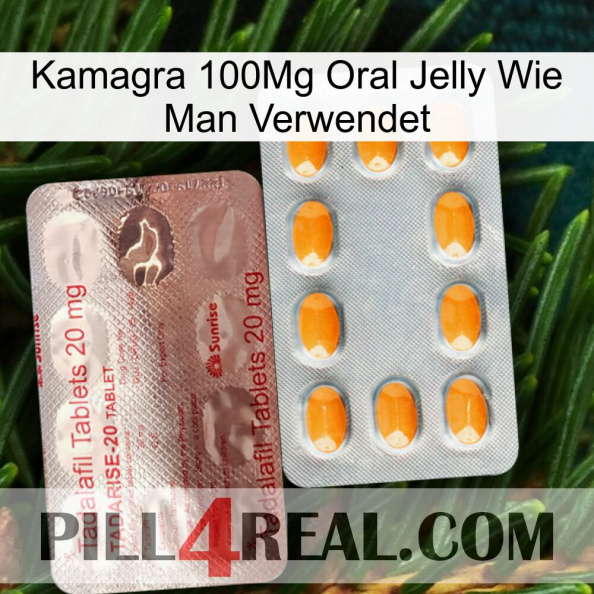 Kamagra 100Mg Oral Jelly How To Use new13